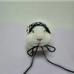 Item thumbnail for item e9c1daa0-c42f-46cd-a0f9-53140b1151b1