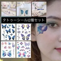 Item thumbnail for item d6d0de46-1878-41b6-b3e6-38c221cfaff0