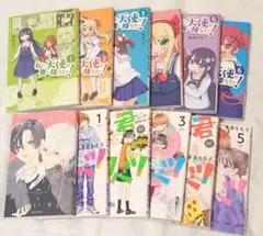 うるわしの宵の月 私に天使が舞い降りた！ 君がトクベツ 12巻セット