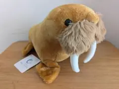 セイウチ　ぬいぐるみ　伊勢シーパラダイス 水族館 ぬいぐるみ