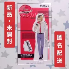 【✦昼休憩】ハイキュー 孤爪研磨 アクリルスタンド