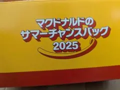マクドナルド　サマーチャンスバッグ2025