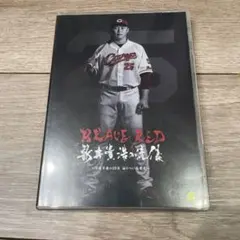 新井貴浩 DVD 広島東洋カープ CARP