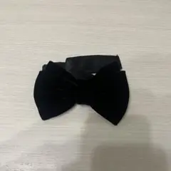 Item thumbnail for item 90fb65a6-052c-4d93-94f4-1c087ae8c52c