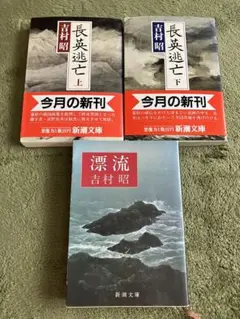 長英逃亡 上下巻セット　漂流　吉村　昭