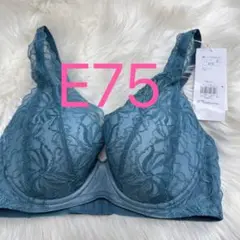 Item thumbnail for item 2f7d2a59-a126-4466-8ea8-37a8974d6d52