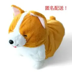 いち！にの！コーギー ただいま  むぎちゃん JB ≪2月の新商品≫いちにのコーギーただいま☆アミューズプライズ