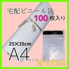Item thumbnail for item 7486c1d0-363e-43ec-907d-800e042f1af6