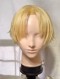 2025年最新】エクスアルビオ コスプレの人気アイテム - メルカリ