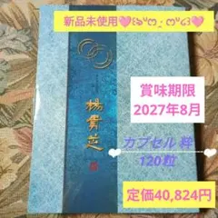 2025年最新】楊貴芝の人気アイテム - メルカリ