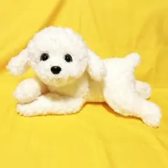白犬のぬいぐるみ トイ・プードル？ビションフリーゼ？マルチーズ？