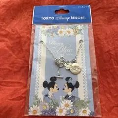 東京ディズニーリゾート　ブレスレット