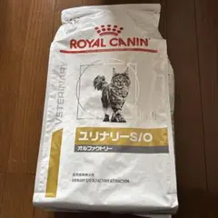 Item thumbnail for item 61b90963-1c4b-46cb-a2ea-27b28915209b