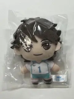 ハイキューセガラッキーくじ及川徹ぬいぐるみ