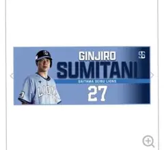 ライオンズフェスティバルズ2025 シークレット　クールタオル　炭谷銀仁朗