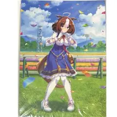 ウマ娘プリティーダービー 一番くじ ラストワン メイショウドトウ