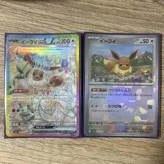 イーブイ✖️2