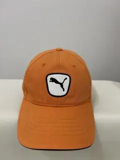 Item thumbnail for item 417714fc-fd8e-4199-9a6d-52fc860fe324