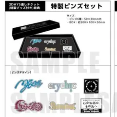 【新品・未開封】「わかれ道の、その先へ」特製ピンズセット