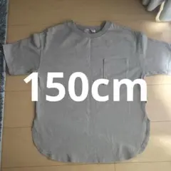 CLASSICAL ELF ベージュ キッズ　半袖Tシャツ 150cm