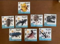 一番くじ　恐竜　2022 アクリルキーホルダー　全８種　コンプリート