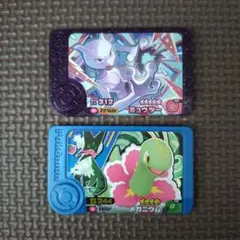 ポケモンフレンダ ベストタッグ1弾　ミュウツー メガニウム