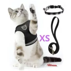 Item thumbnail for item 659a7d0a-0b7f-4579-9889-2cf8ea76c203