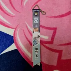東京ヤクルトスワローズ 山野太一 ボンフィン