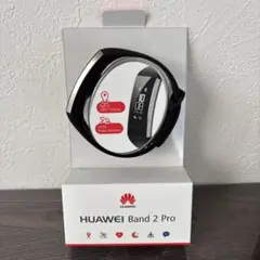 HUAWEI Band 2 Pro 本体