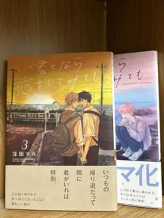 君となら恋をしてみても 3巻 4巻 セット