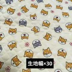 Item thumbnail for item f51d605f-2897-407b-a59b-4a16bf6529dd