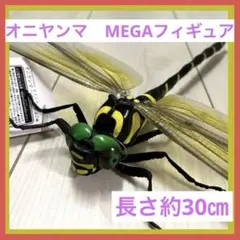 m67973730647_1.jpg?1725282233