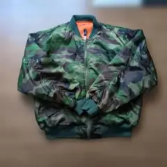 Item thumbnail for item 8aaf4295-6ade-49a4-aea4-859421f9b206