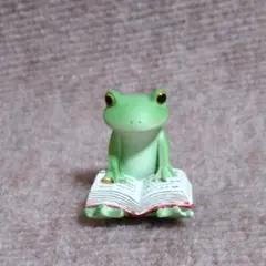 コポー　カエル　本を読むカエル