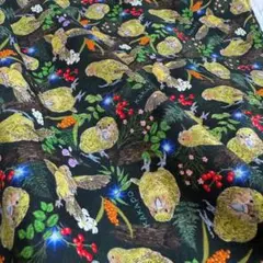 新作【オリジナル生地】カカポ君　ランダム　フォレストグリーン