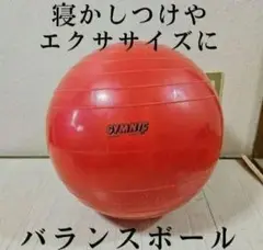 ギムニク55バランスボール
