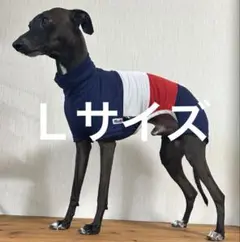 Ｌサイズ犬服イタグレ服三色柄ショートボディオール