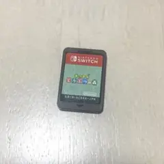 あつまれどうぶつの森 ソフトのみ