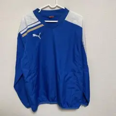 PUMAピステMサイズ