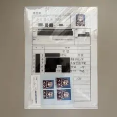 壱百満天原サロメ 履歴書 クリアファイル ヴィレッジヴァンガード ヴィレヴァン