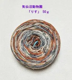 【オパール毛糸 ハーフ】気仙沼動物園 「りす」 ５０g