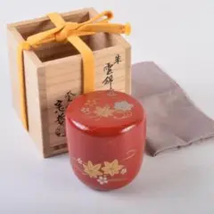 Item thumbnail for item 45f0a1f1-be6d-4295-a8ff-102f6cb826e6