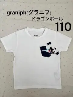 Item thumbnail for item 83c679cb-80f1-4092-a155-41524d8011e8