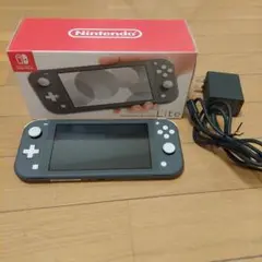 Nintendo Switch Lite グレー 本体 ACアダプター付き
