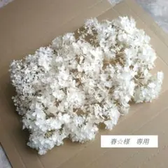 ドライフラワー　ピンクアナベル漂白加工　ヘッド詰め合わせ