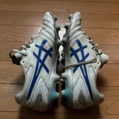 asics DSライト　28cm