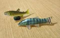 海洋堂チョコエッグ　アユとアユモドキ