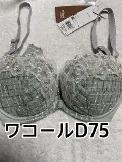 【新品】ワコールウィングD75