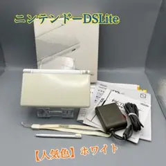 2062【動作品】ニンテンドーDSLite ホワイト セット