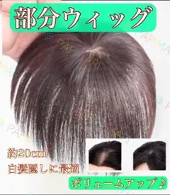 ウィッグ ナチュラルブラウン 部分ウィッグ 約20cm レディース ショート